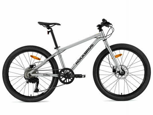 Darwin IV 24-Inch Kids Bike