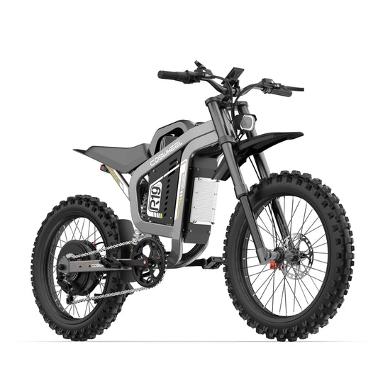 eBike Coswheel R19