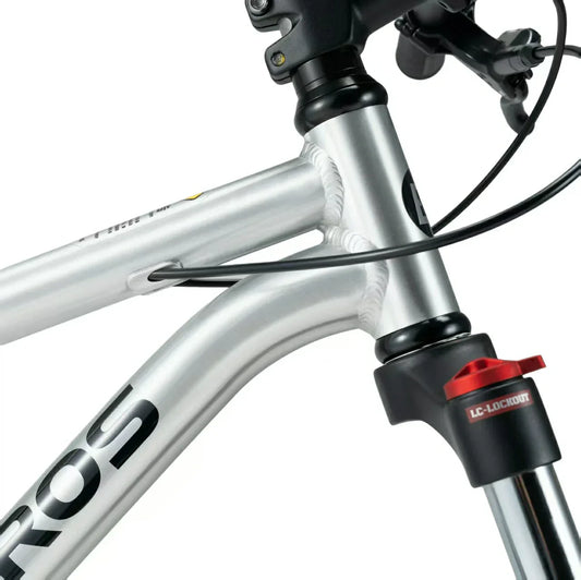 Darwin V 26-Inch Mountain Bike