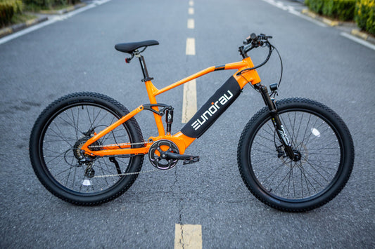 DEFENDER - Electric Bicycle - DEFENDER-275-17-GN eBike Super Shop