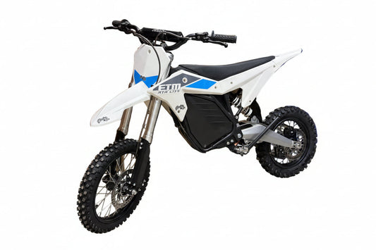 eBike Electro & Co ETM RTR Lite - In Store Pickup Only