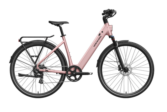 eBike Mokwheel Flint ST