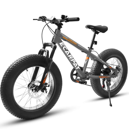 Ecarpat Arena - 20"×4" - SHP - W1856P152433 eBike Super Shop