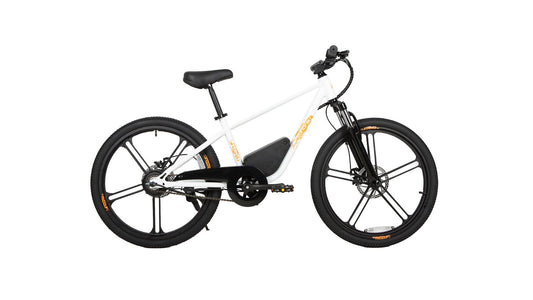 EKIDS24 1.0 - Electric Bicycle - EKDS24135WT1US eBike Super Shop