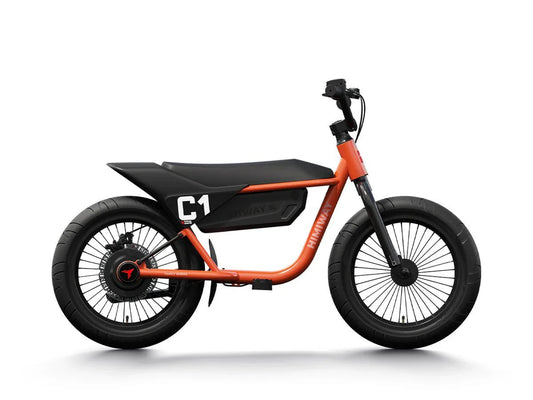A Himiway C1 Kids E-Bike with a 350W motor, step-over frame, and 16x3 inch fat tires, shown as a compact electric mini fat tire bike.