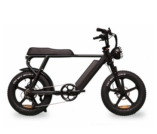 Ernie - Ebike - sku - 44880280322349 eBike Super Shop