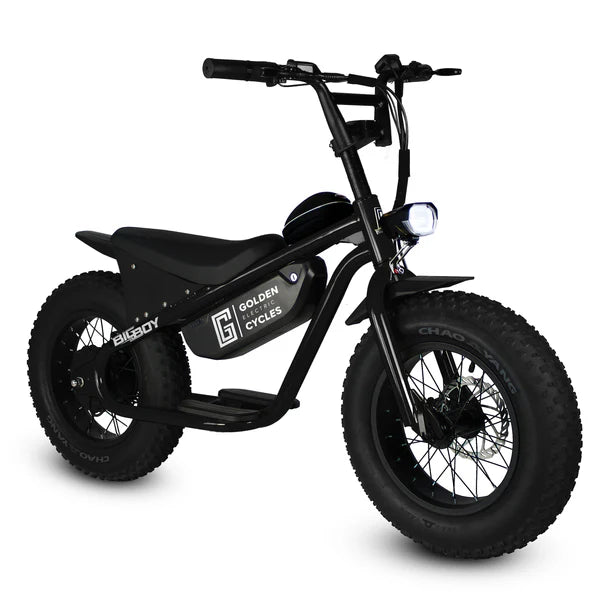 GOLDEN CYCLE Big Boy 350w Micro eBike 16x4 Fat Electric Mini Fat Tire eBike - Mini eBike - GOLDE|MINI|GREEN|0308 eBike Super Shop