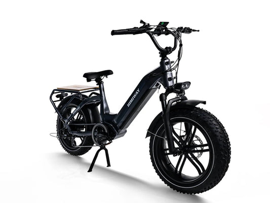 HIMIWAY Big Dog 750 w Step Thru Ebike 20x4 Fat Electric Cargo eBike - Cargo eBike - HIMIW|CARGO|0162 eBike Super Shop