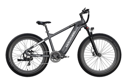 MOKWHEEL Basalt 750 w Step Over Ebike 26x4 Fat Tire Fat Tire Electric Beach Cruiser eBike - Fat Tire eBike - MOKWH|FATT|GREY|0119 eBike Super Shop