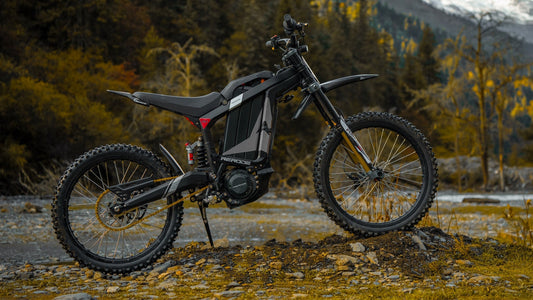 R1 - Electric Bicycle - R11919SV1US eBike Super Shop
