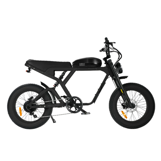 eBike Revi Cougar Pro