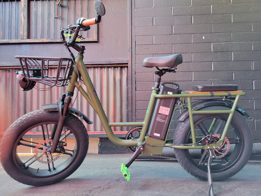 Fat-Tire Cargo Warrior eBike - eBike Super Shop