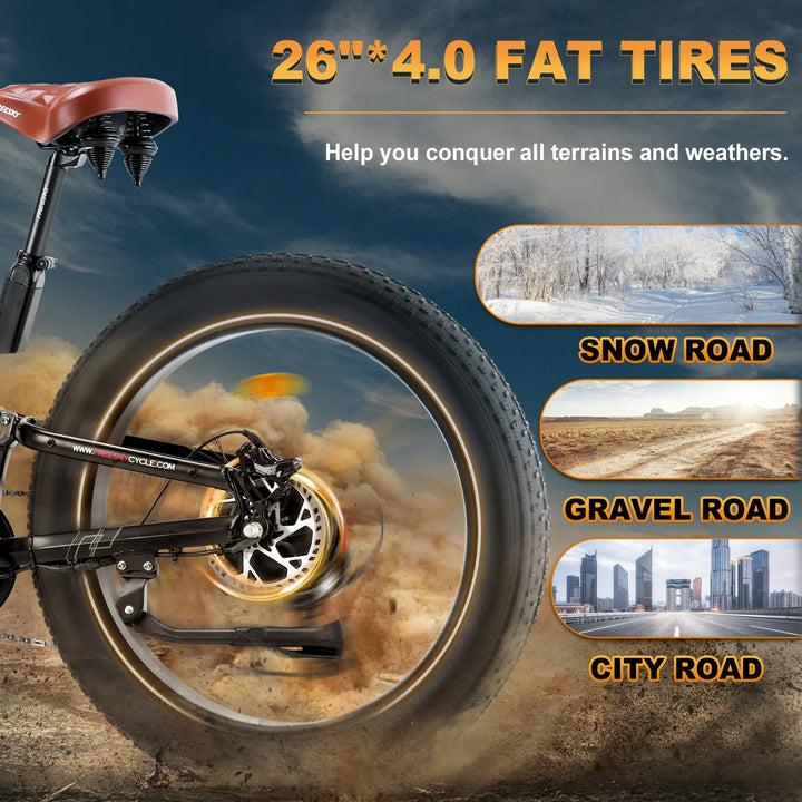  FREESKY Warrior M-530 1000 w Mountain Ebike 4 Fat Tire Electric Fat Tire Mountain eBike