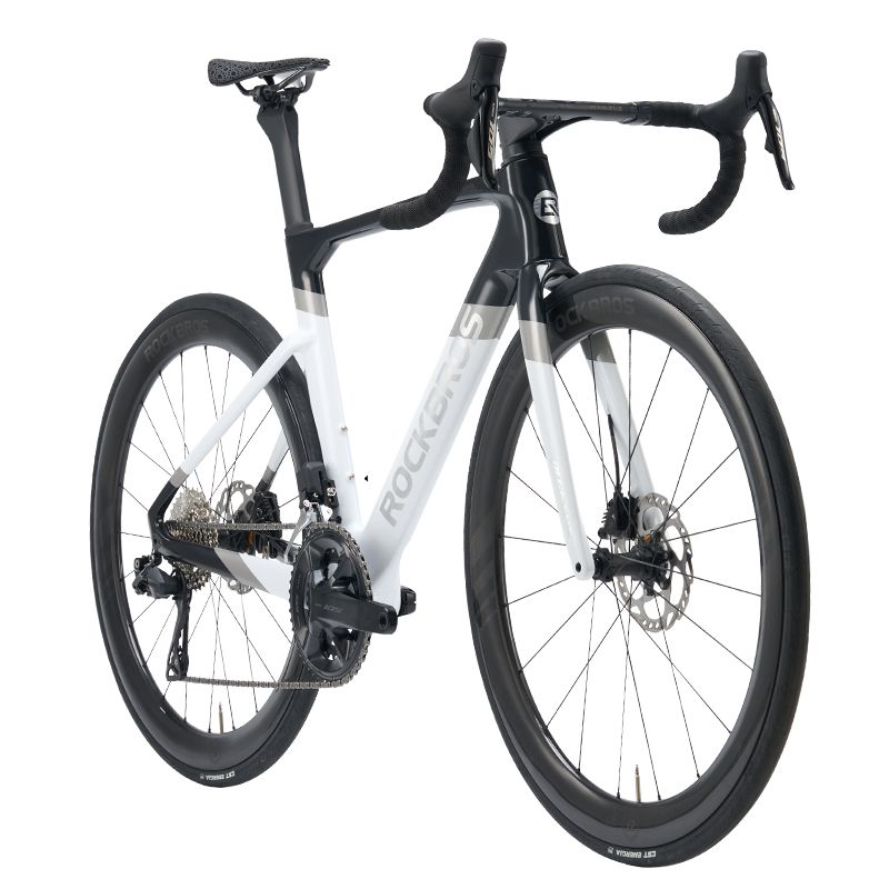 pegasus gravel bike Pegasus 1.0 Diamond-Black / L: 700Cx495