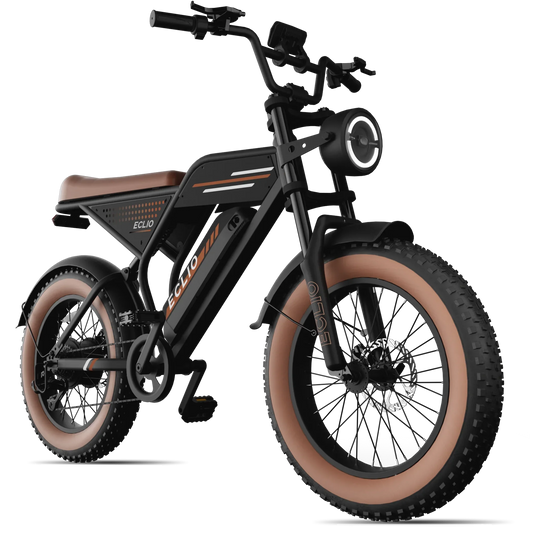 eBike Eclio Vetus 2 - Brown