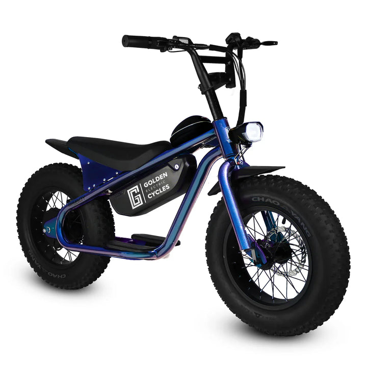 Blue Big Bear eBikes GOLDEN CYCLE Big Boy 350w Ready to Ride Micro Ebike 16x4 Electric Mini Fat Tire eBike