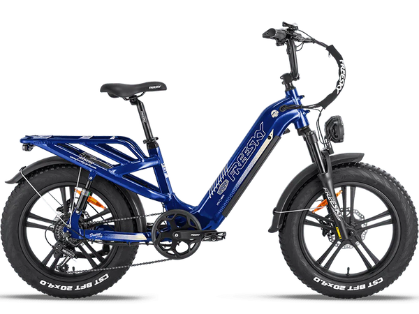 ev warrior electric bicycle eBike Freesky Warrior Pro M-530