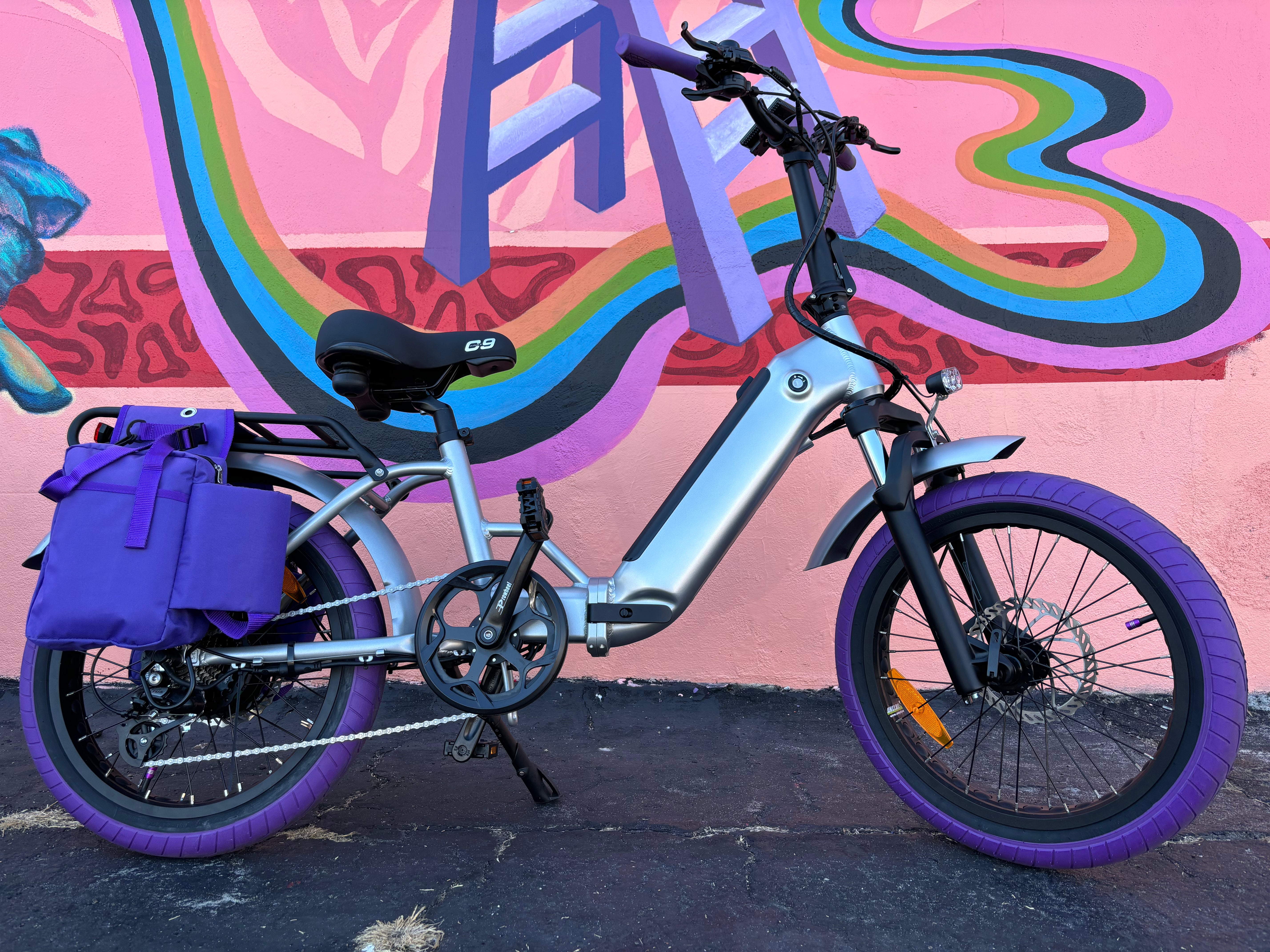e bike fully lila Custom Purple Rain 750 w Electric Folding eBikeStep Thru 20x3 Fat tire electric bike