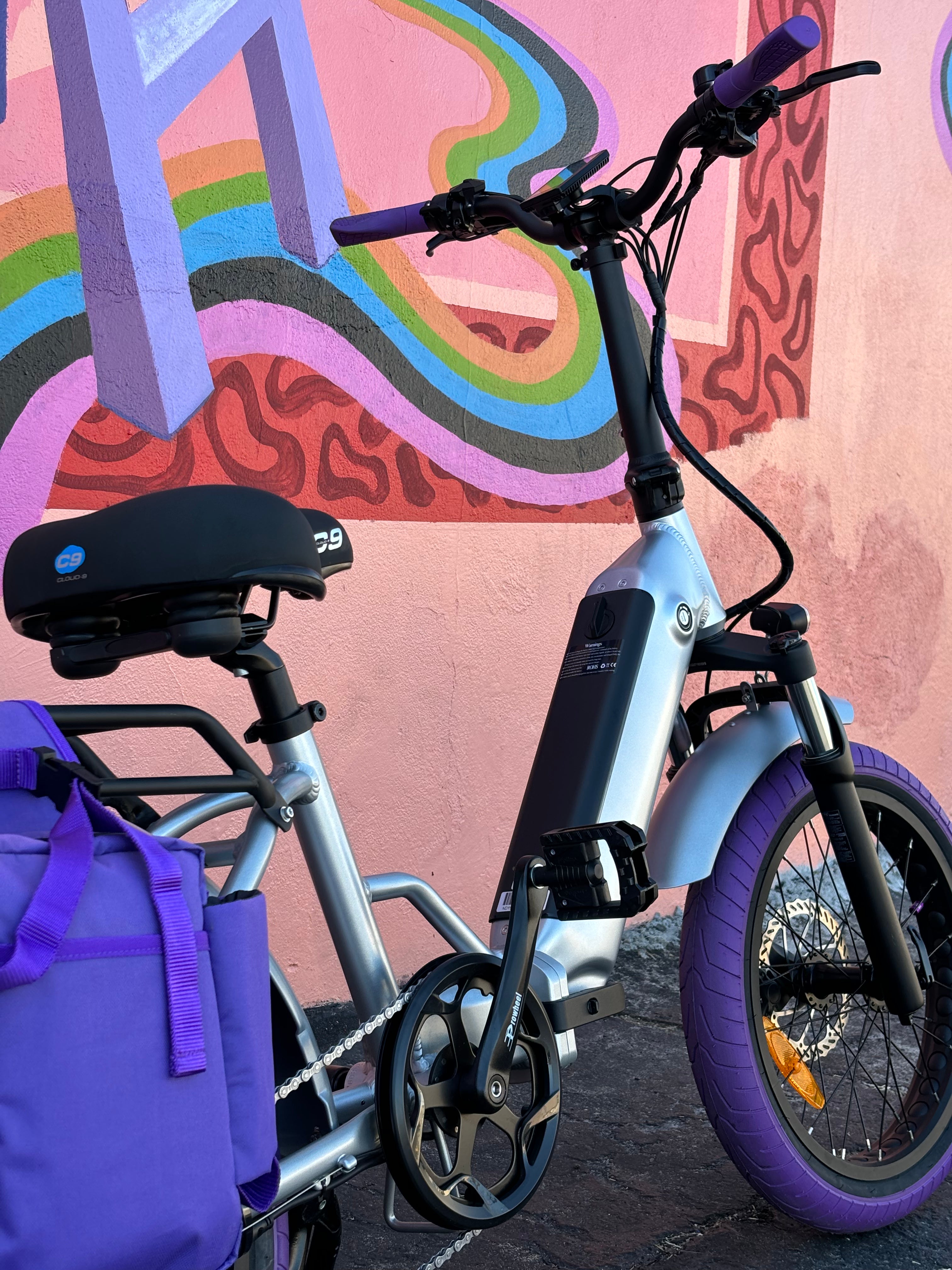 e bike fully lila Custom Purple Rain 750 w Electric Folding eBikeStep Thru 20x3 Fat tire electric bike