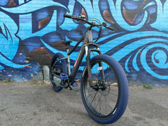 Custom Blue Midnight 750 w Electric Urban eBike  26x2.1 Urban tire electric bike