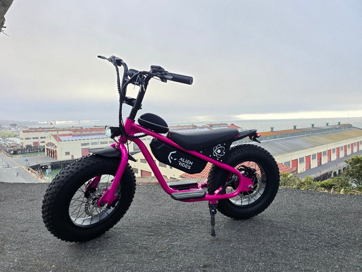 AR Atom 1000 Watt Mini Electric Bicycle - sku-44251933606142 eBike Super Shop