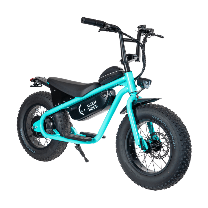 AR Atom 1000 Watt Mini Electric Bicycle