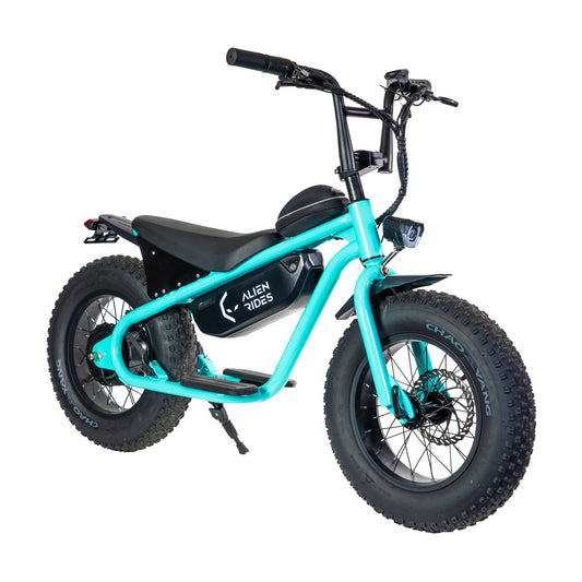 AR Atom 1000 Watt Mini Electric Bicycle - Mini eBike - eBike Super Shop