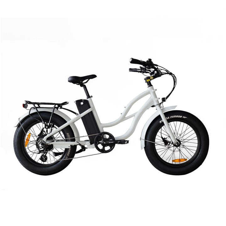 Big Bear eBikes COASTAL CRUISER 52V 20 Thru 750 w Ready to Ride Step Thru Ebike 20x4 Mini Fat Tire Electric Beach Cruiser eBike - Mini - eBike Super Shop