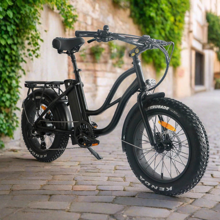 easy rider electric bicycle MOD SideCar 3 friendly electric bike Folding Bike Easy Rider Electric