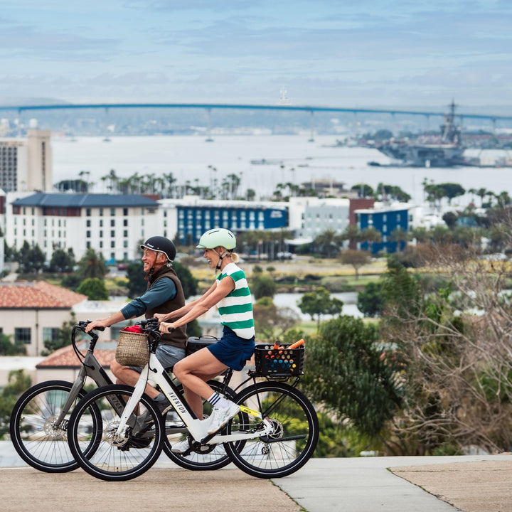 Dairyman Basket MIK - Bike Basket - 1055M eBike Super Shop