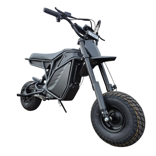 eBike Electro & Co The Rizzler Sport - In Store Pickup Only