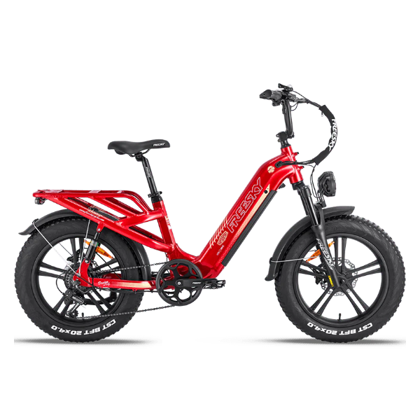 eBike Freesky Rocky Pro A-320