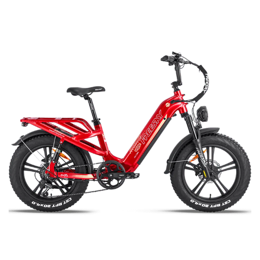 eBike Freesky Rocky Pro A-320