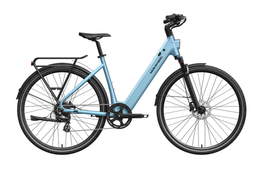 eBike Mokwheel Flint ST Pro