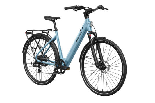eBike Mokwheel Flint ST Pro