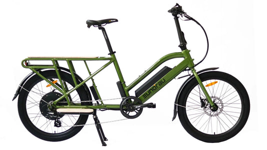 EUNORAU Max Cargo 750w Step Thru eBike, 24x2.4 road tires, electric cargo bike, side view, white background