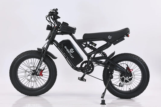 eBike Ghostcat F3 Class 2 - eBike - GHOST|3027 eBike Super Shop