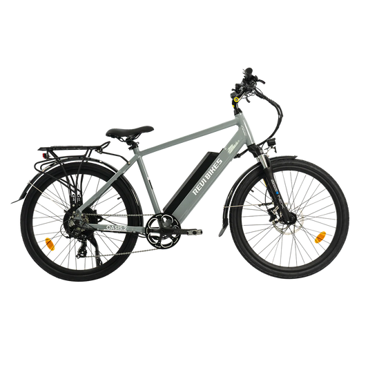 Gray eBike Revi Oasis.2 electric bicycle side view on white background