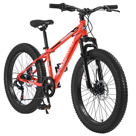 Ecarpat Elecony - 24"×4" - SHP-W709P174686 eBike Super Shop