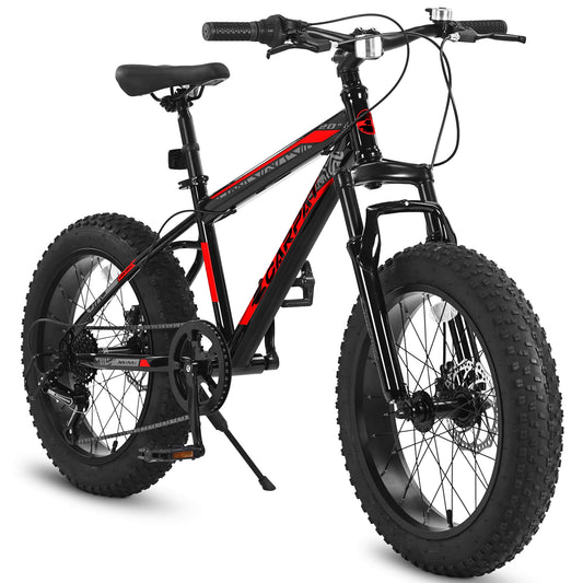 Ecarpat Joycycle - 20"×4" - SHP - W2563P156283 eBike Super Shop