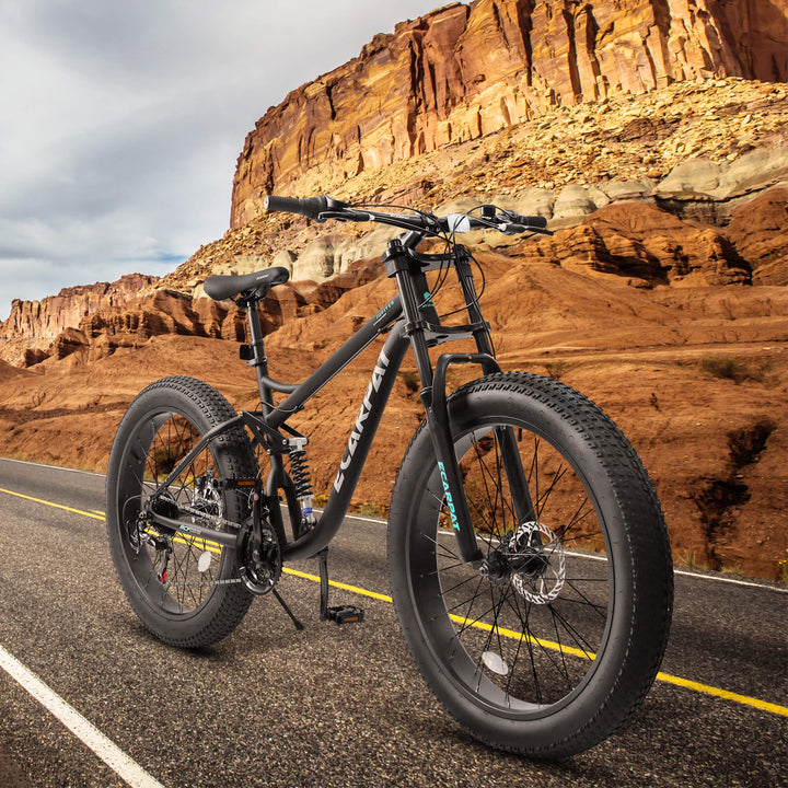 jumbo citybike Ecarpat Jumbo MX - 26"×4"