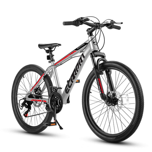 Ecarpat Rycheer - 26“×2.10” - SHP - RY - TT - W1856107338 eBike Super Shop