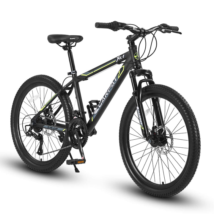 xtract fahrrad 24 zoll Ecarpat XR1