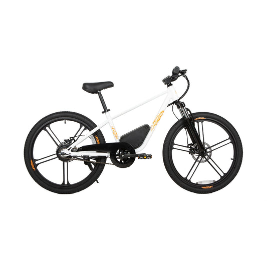 EKIDS24 1.0 - Electric Bicycle - EKDS24135WT1US eBike Super Shop