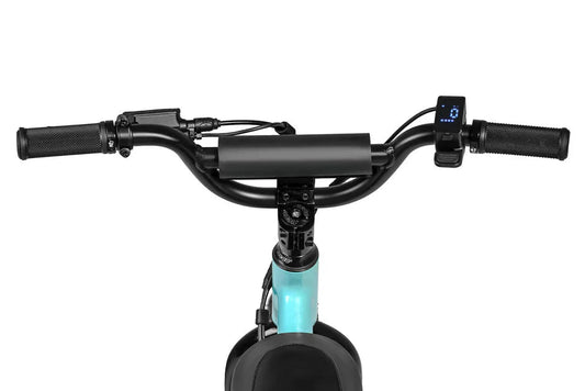 eMOTO HIMIWAY C1 Kids E-Bike, 350W step-over electric bike with 16x3 inch fat tires, mini fat tire e-bike, product image