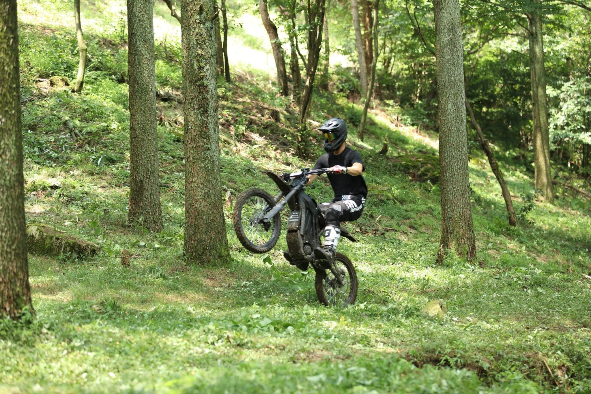 eRide Pro S 3000 w / 6000 w Ebike 17x3 Dirt Electric Dirt Bike