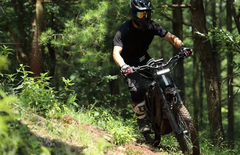 eRide Pro S 3000 w / 6000 w Ebike 17x3 Dirt Electric Dirt Bike
