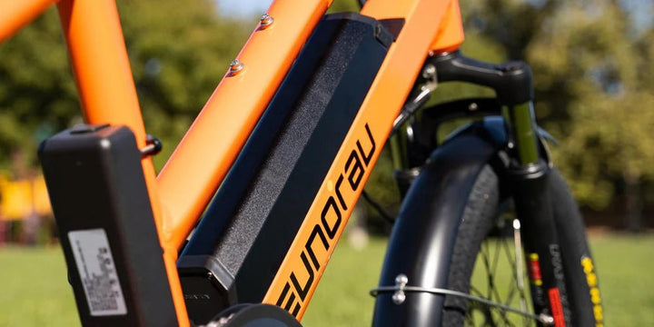 EUNORAU G30 Cargo 500w Step Thru eBike 20x3 Fat Electric Cargo eBike - Cargo eBike - EUNOR|CARGO|ORANG14AH|0363 eBike Super Shop