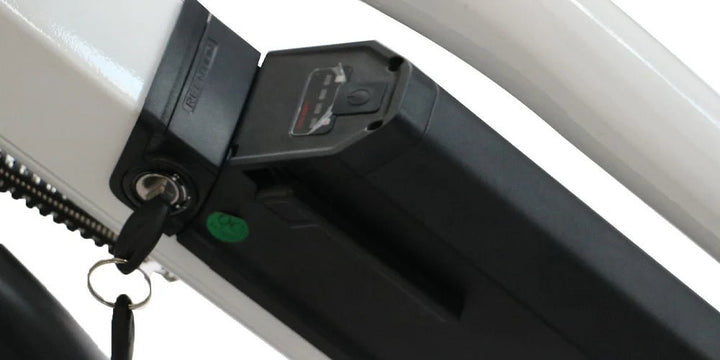 EUNORAU Max Cargo 750w Step Thru eBike 24x2.4 Road Electric Cargo eBike - Cargo eBike - EUNOR|CARGO|GREEN14AH|0357 eBike Super Shop