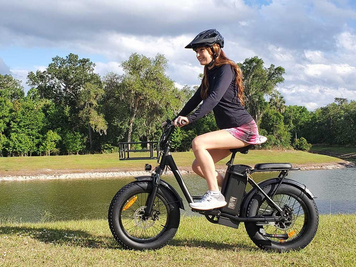 FREEGO Electric Cargo eBike FB - 20X Step - thru - Step Thru 750 w Electric Communter eBike - Cargo eBike - eBike Super Shop